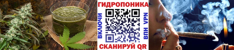 Cannafood марихуана  Любим 