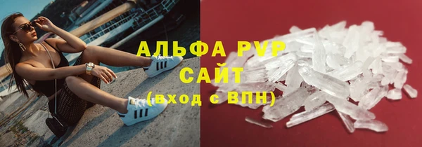 гашик Данков