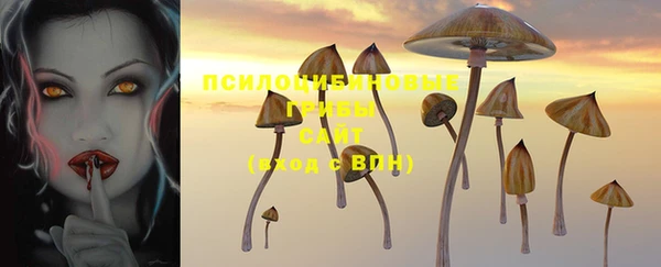 spice Лиски