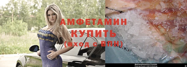сатива Дедовск
