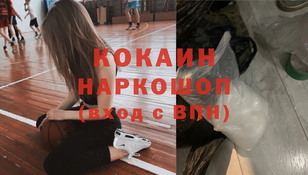 гашик Данков