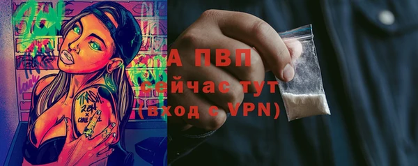 гашик Данков